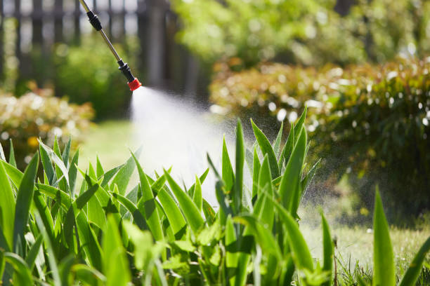 24/7 Emergency Termite Control experts in Erlanger, KY