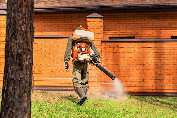 Trusted Emergency Pest Control service in Erlanger, KY - Nex Pest Control